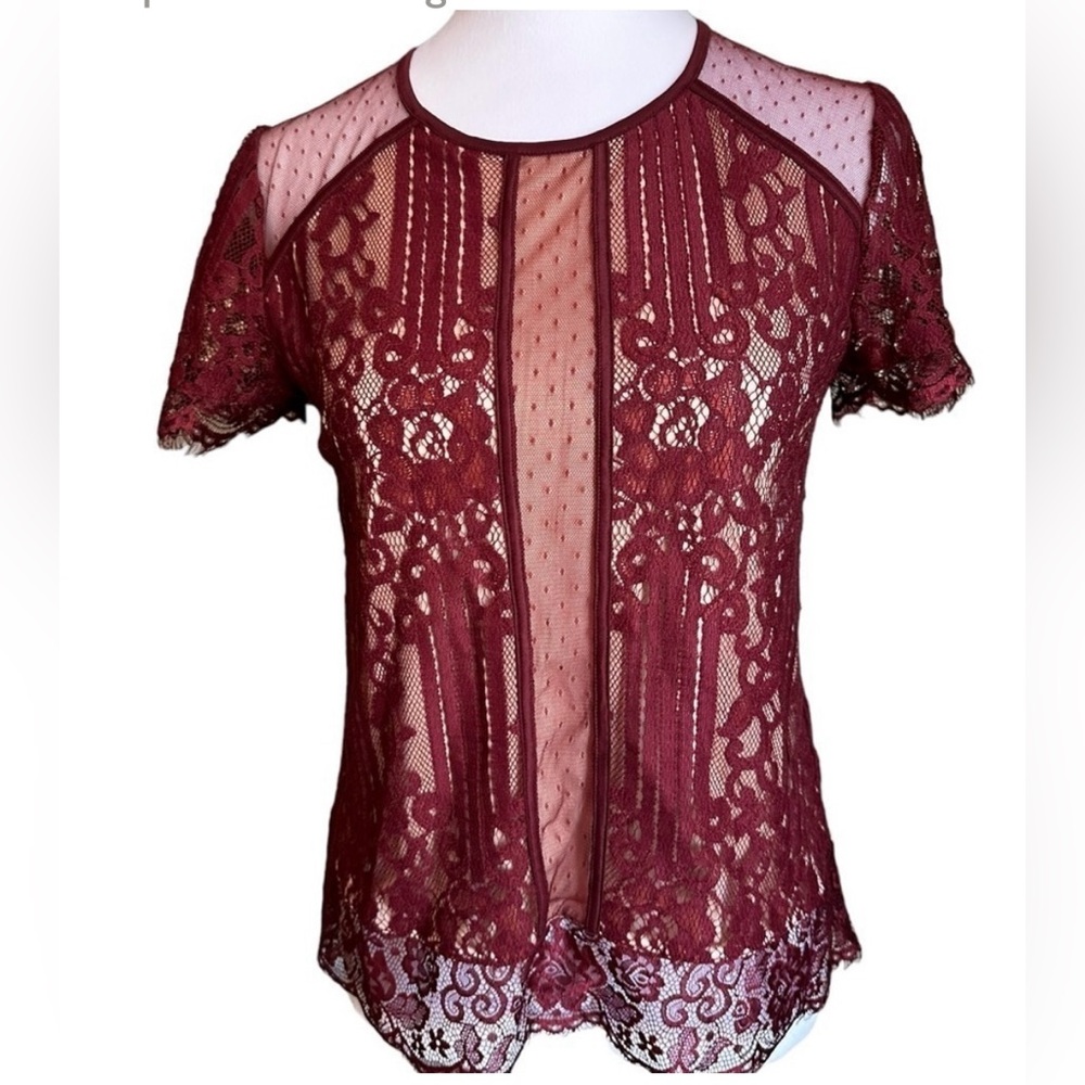 Express Lace Short Sleeve Deep Burgundy Blouse Size XS